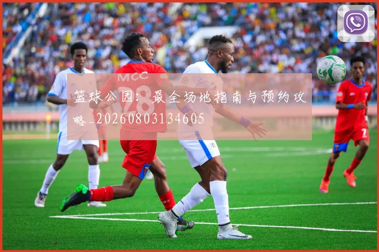 篮球公园：最全场地指南与预约攻略_20260803134605